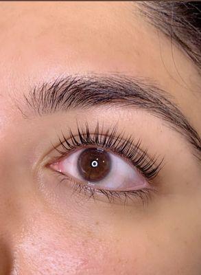 Lash lift + tint