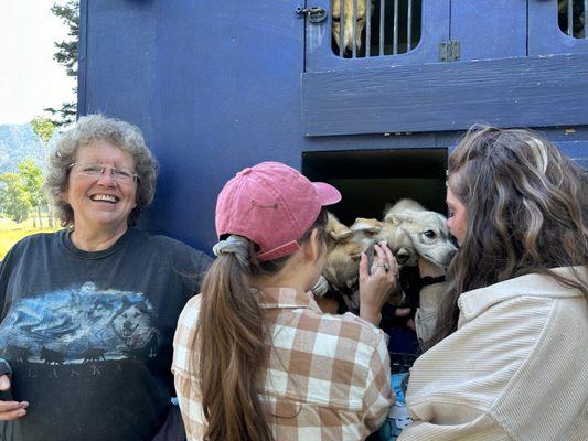 Joy+puppies=pure joy