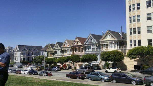 Painted Ladies