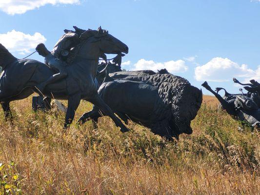 Tatanka Story of the Bison