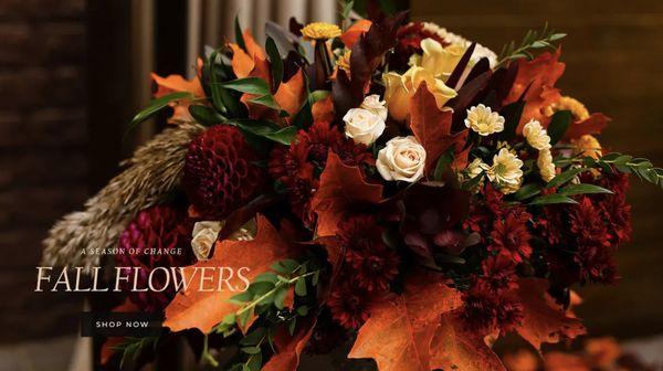 Fall flowers ready for delivery in the greater Austin area!