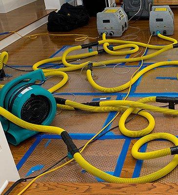 Wood Floor Drying