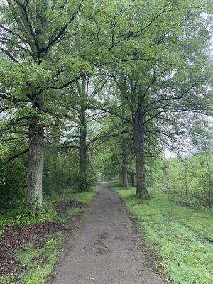 Great park for a run