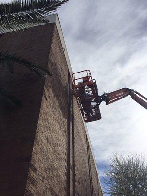 Performing Bat Exclusion at a school to keep bats from entering the structure.