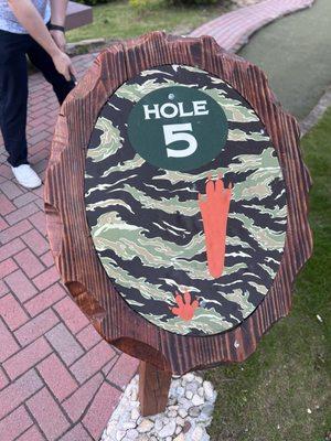 Hole numbers