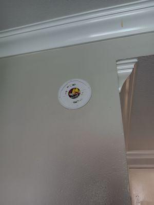 Smoke alarm missing