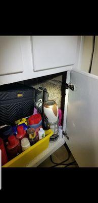 Be sure if you have items under sink to still check for leaks or signs of water damage often