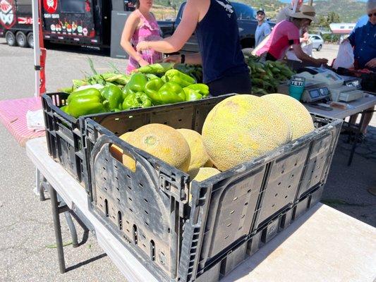 Midsummer harvest