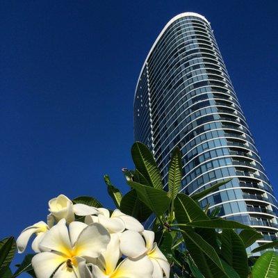 Photo taken by the pool when it was functional