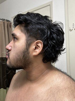 This was my overgrown mullet before we went for another haircut. (Look at the picture where I mention the blend of sideburn to facial hair)