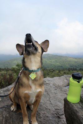 Grayson Highlands State Park