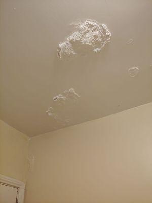 Before (Water Damage, Peeling Plaster)