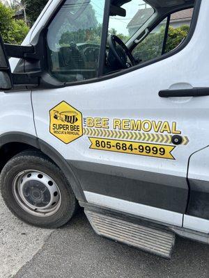 SUPER BEE REMOVAL