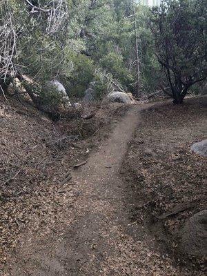 Snapshot taken by one of my teammates, from the red loop, during the Ragnar Trail Los Coyotes relay race.