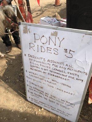 Pony rides