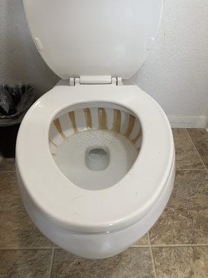 A horrifying toilet