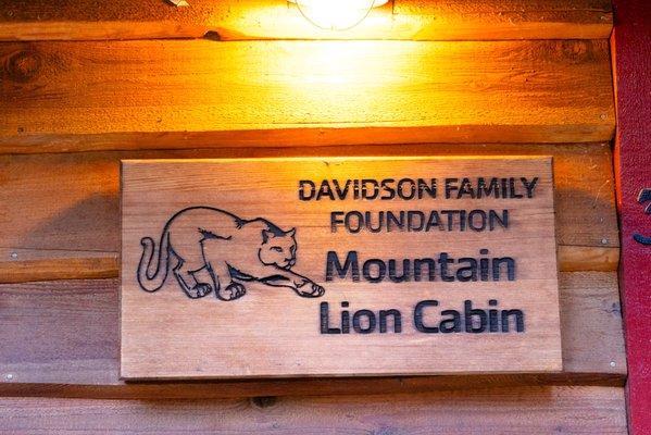 mountain lion cabin