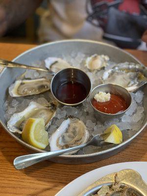 Arrangement of Oysters: Salty Wolfe Blackberry  WellFleet Pickering Pass Hammersley White Stone