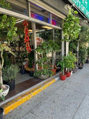 Store front adorn with plants