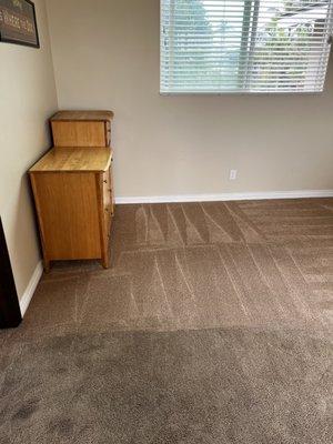 PacificPro Carpet Cleaning