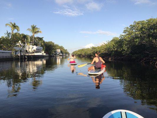 The canals by the mangroves