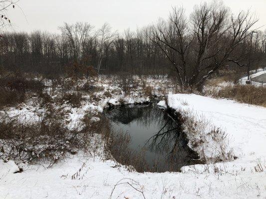 Snowy views off the rail trail in Northampton.