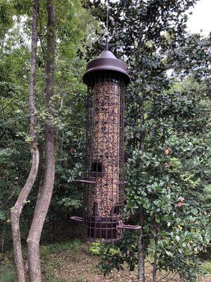 Our new squirrel proof feeder!