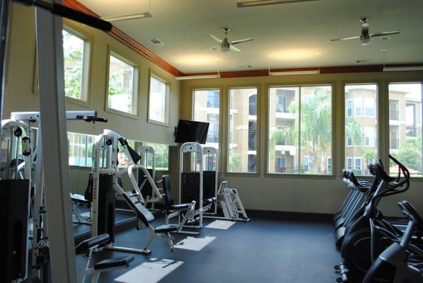 An expansive fitness center with weight machines, free weights, and cardio equipment.