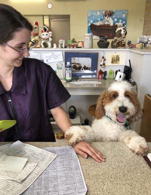 Kona LOVES going to see Stephanie for spa day.