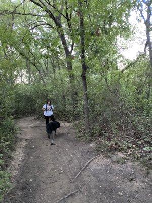 Hiking trails across the creek