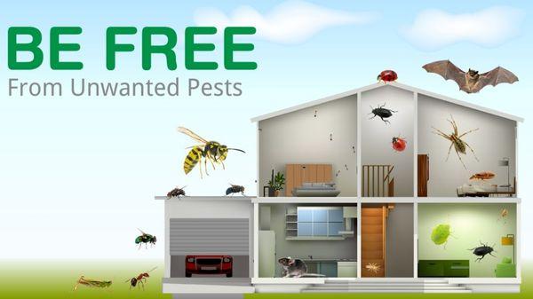 A B E Pest Services