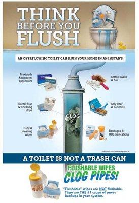 Avoiding flushing anything of this sort will help keep your drain clear and running smooth.