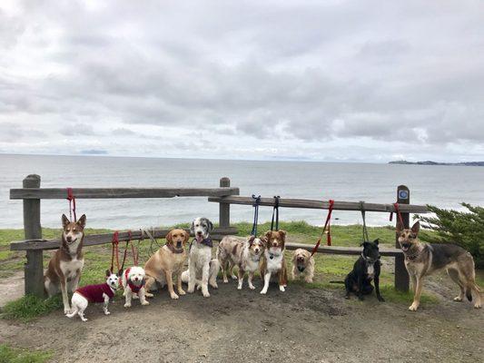 Group hike