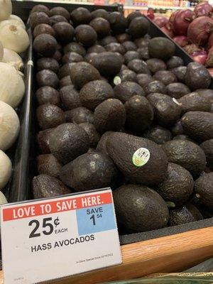 25 cent Avocados!!!