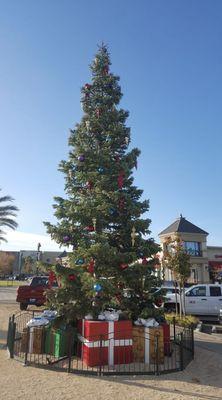 Christmas Tree lots