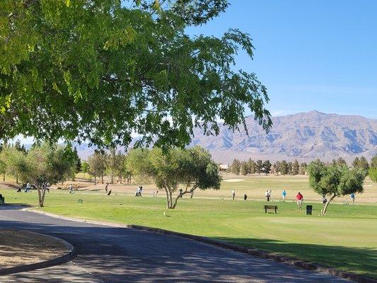 View of the driving range