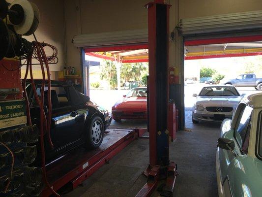 VICTORY LANE EUROPEAN AUTO REPAIR 30yrs JENSEN BCH