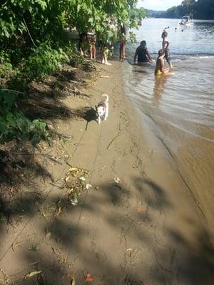 The mucky Delaware River...good for tubing, not for swimming