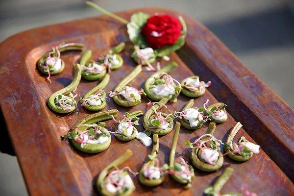 Fiddlehead Ferns