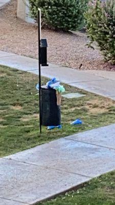 Dog waste baskets that are never emptied..