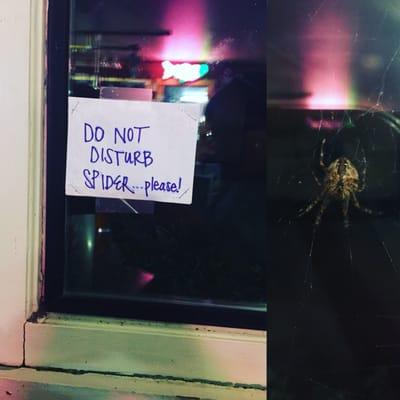 That time the Hansgrill staff told patrons to be nice to a spider. Because they are awesome.