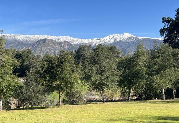 The view at Soule Park Qi Flow outdoors class