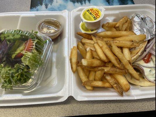 Gyro Plate with fries