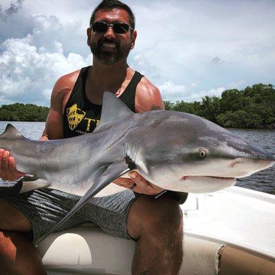 Backwater bullshark!