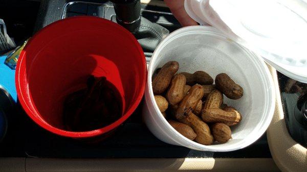 Cup of boiled peanuts. They have the peanuts cooking in a croc pot. 2 crock pots, for salted and Cajun. A big cup of peanuts is $2.89.