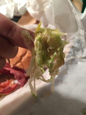 soggy wilted lettuce. it was gross.