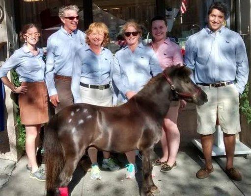 Store mascot, Upset the mini horse with staff!