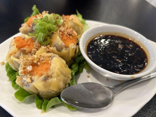 Thai Dumplings