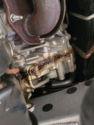 Leaks under the engine