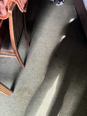 Stains on carpet